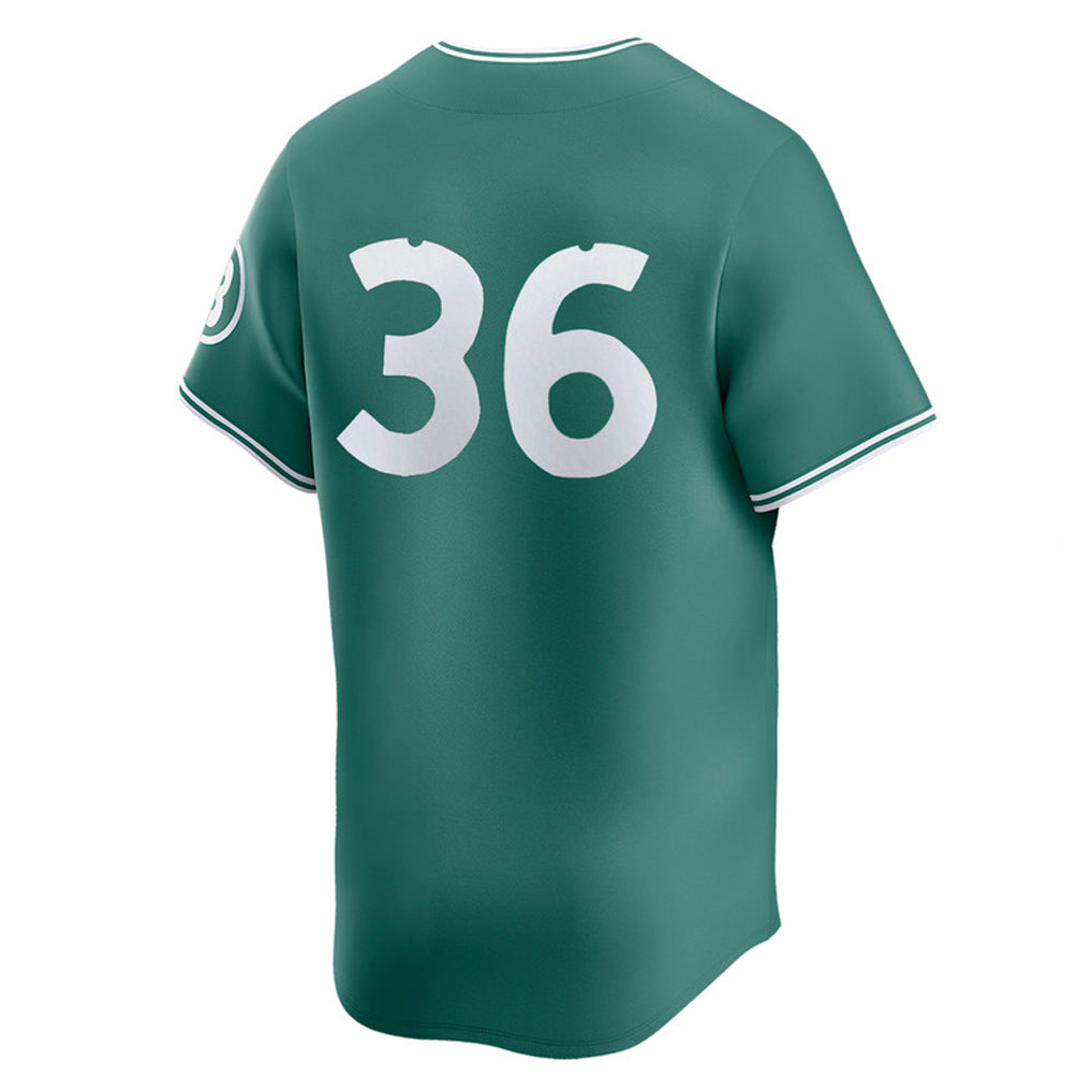 Arlishia B.Red Sox #36 Triston Casas Player Green City Connect Limited Home Game Stitched Jerseys