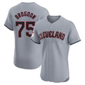 Arlishia C.Guardians #75 Connor Brogdon Player Gray Road Limited Elite Home Stitched Jerseys